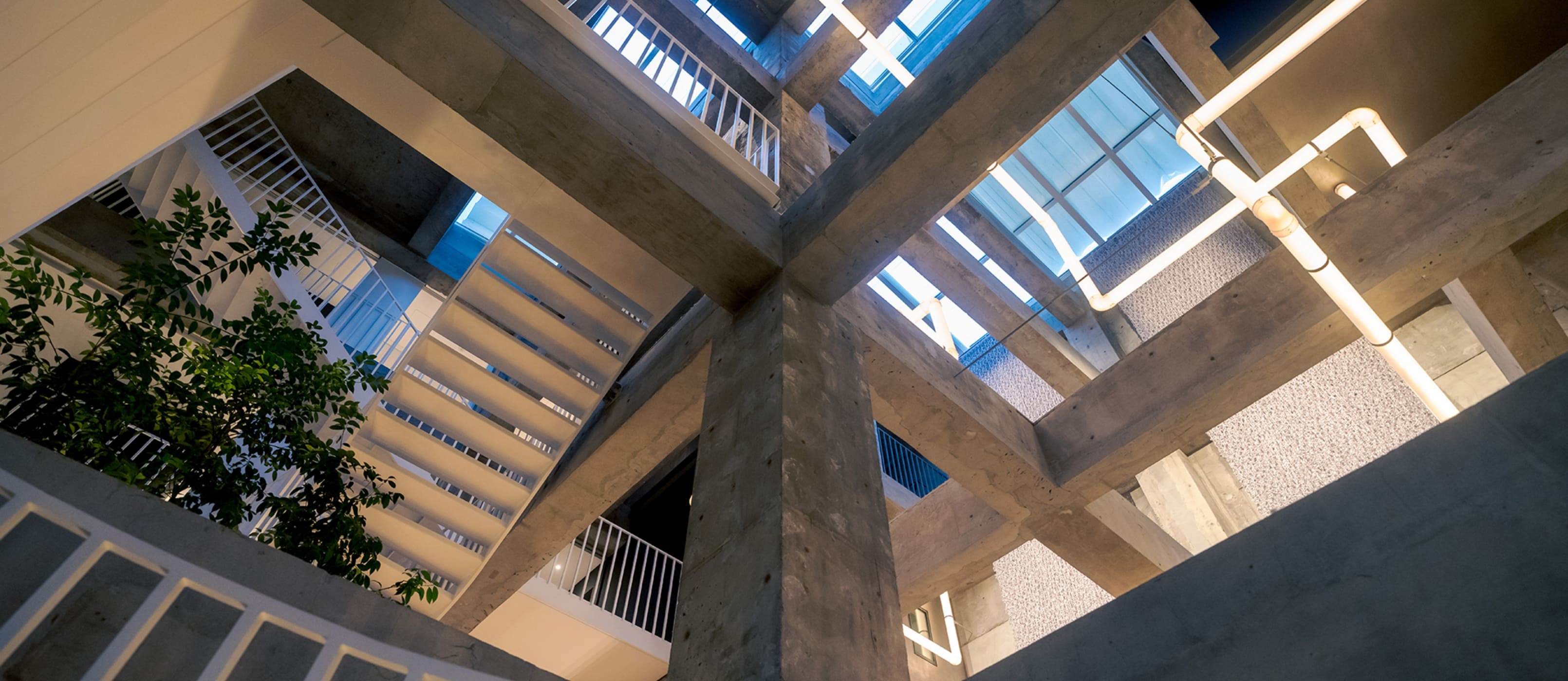 建築