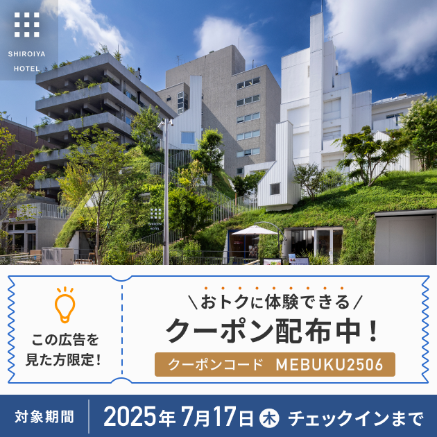 期間限定｜「白井屋ホテル」で 特別なご宿泊を、お得に体験しませんか？